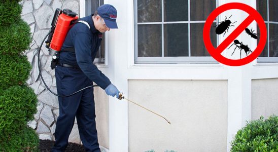 Evka 4 Böcek ve Haşere İlaçlama böcek ilaçlama ve haşere kontrolü — ilaclama-tr.com